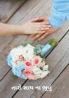 તારો સાથ ના ભૂલું