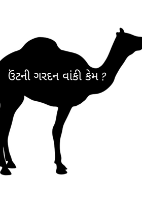 ઊંટની ગરદન વાંકી કેમ ?