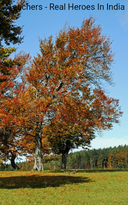 Teachers - Real Heroes In India