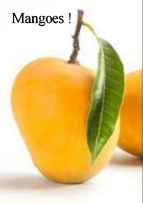 Mangoes!