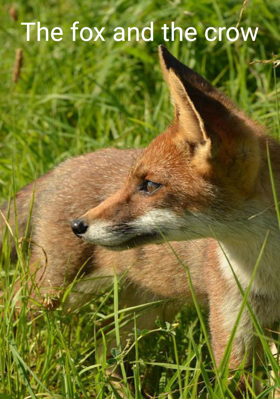 The Fox And The Crow