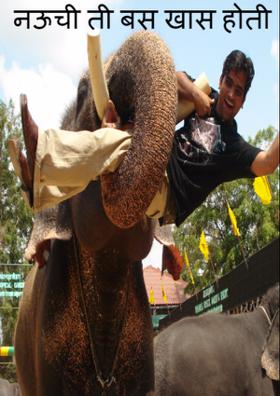 नऊची ती बस खास होती