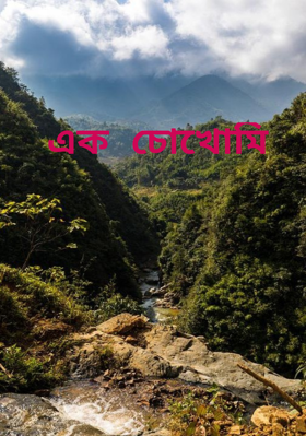 এক চোখোমি