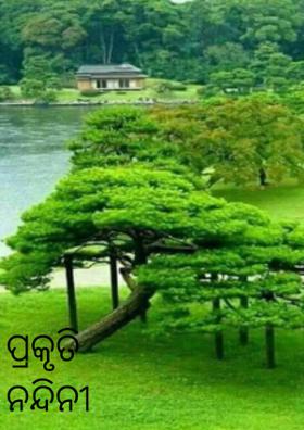 ପ୍ରକୃତି ନନ୍ଦିନୀ