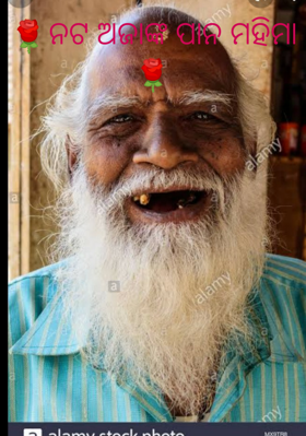 ନଟ ଅଜାଙ୍କ ପାନ ମହିମା