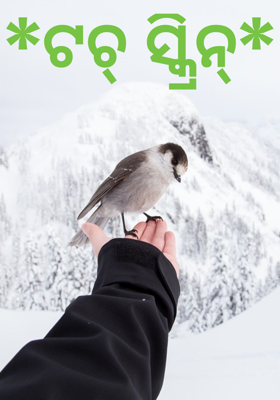 ଟଚ୍ ସ୍କ୍ରିନ୍