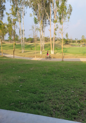 जीने की उमंग