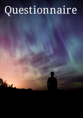 Questionnaire