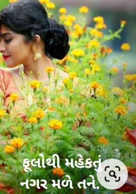 ફૂલોથી મહેકતું નગર મળે