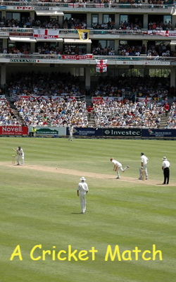 A Cricket Match