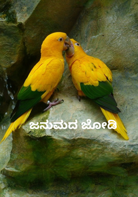 ಜನುಮದ ಜೋಡಿ