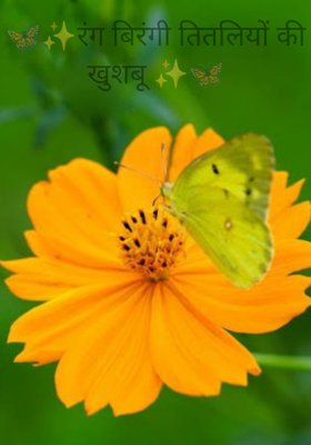 🦋✨रंग बिरंगी तितलियों की खुशबू ✨🦋