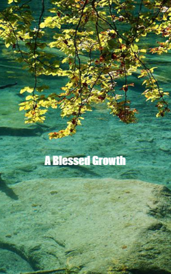 A Blessed Growth