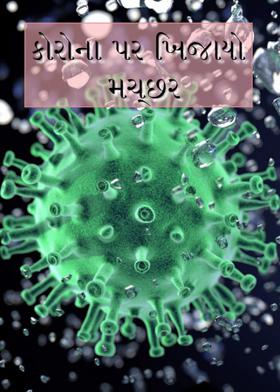 કોરોના પર ખિજાયો મચ્છર