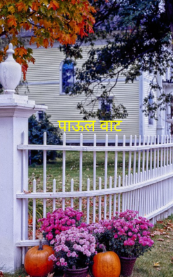 पाऊल वाट