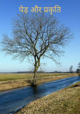 पेड़ और प्रकृति