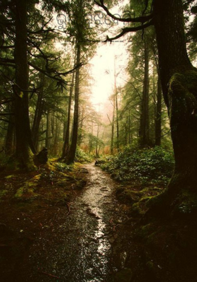 ଭୁଲ ବୁଝିବେନି