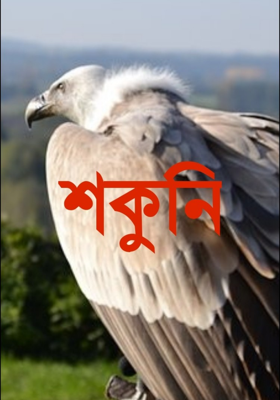 শকুনি