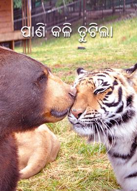 ପାଣି କଳି ତୁଟିଲା