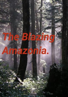 The Burning Amazon