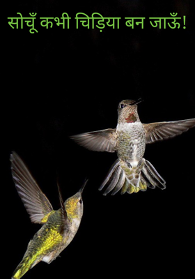 सोचूँ कभी चिड़िया बन जाऊँ