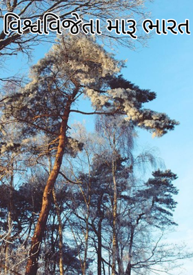 વિશ્વવિજેતા મારું ભારત