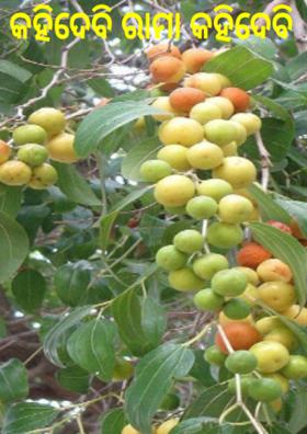 କହିଦେବି ରାମା କହିଦେବି