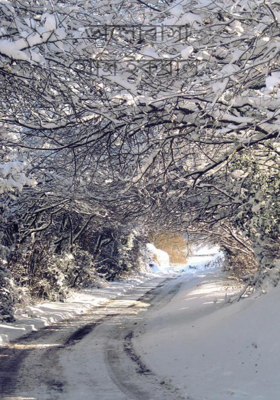 ভালোবাসা হাসি ইকবাল