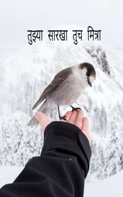 तुझ्या सारखा तुच मित्रा