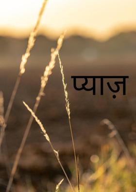 प्याज़- नाम ही काफी है