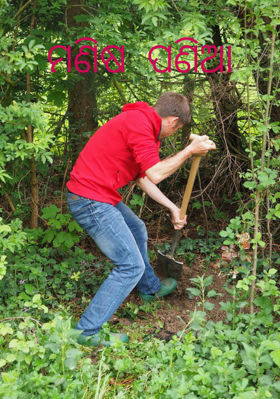 ମଣିଷ ପଣିଆ