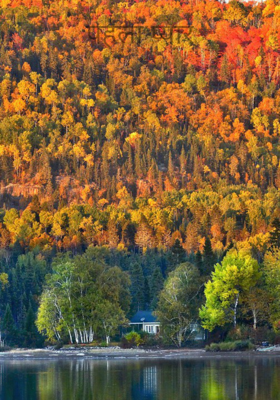 पहला प्यार