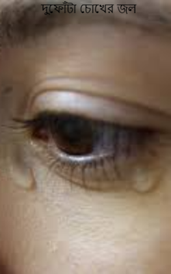 দুফোঁটা চোখের জল