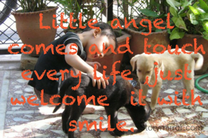Little angel comes and touch every life ,just  welcome  it with smile. 