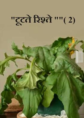 "टूटते रिश्ते ""( 2)