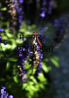 मैं अगर तितली होता