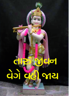 તારું જીવન વેગે વહી જાય