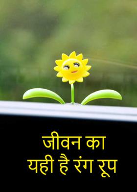 जीवन का यही है रंग रूप