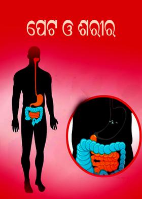 ପେଟ ଓ ଶରୀର