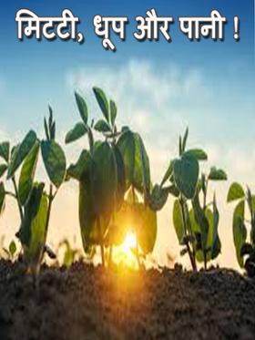 मिटटी, धूप और पानी !