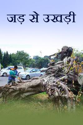 जड़ से उखड़ी