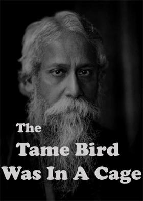 The Tame Bird Was In A Cage