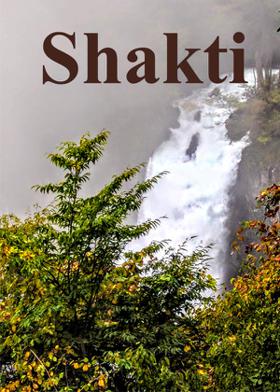 Shakti