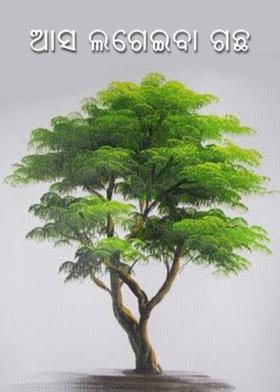 ଆସ ଲଗେଇବା ଗଛ