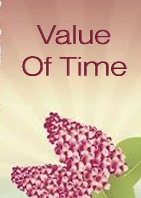 Value Of Time