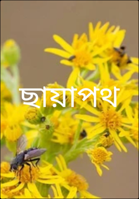 ছায়াপথ