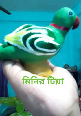 মিনির টিয়া