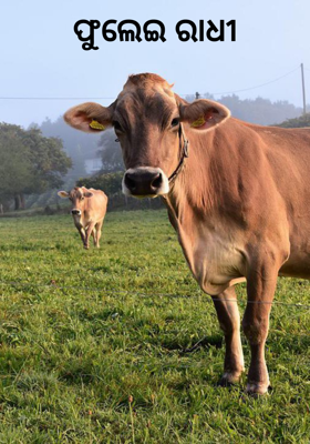 ଫୁଲେଇ ରାଧୀ