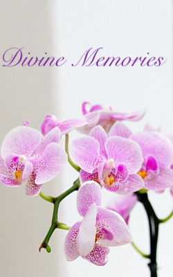 Divine Memories