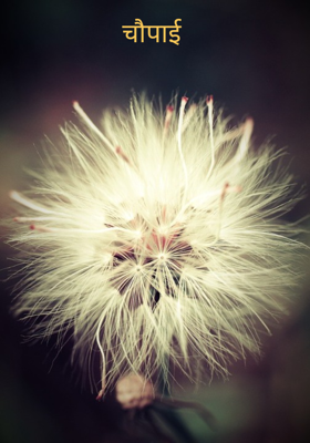 चौपाई 
